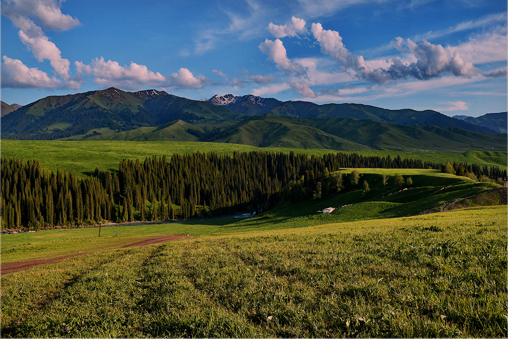 DSC_3065-1.jpg