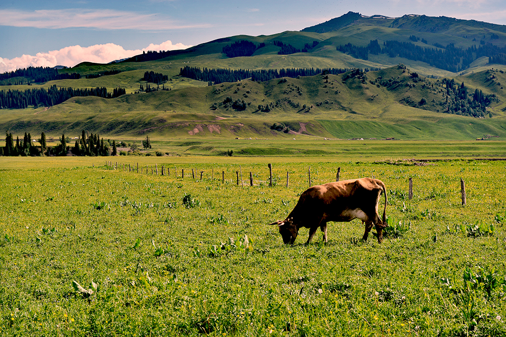 DSC_3034-1.jpg