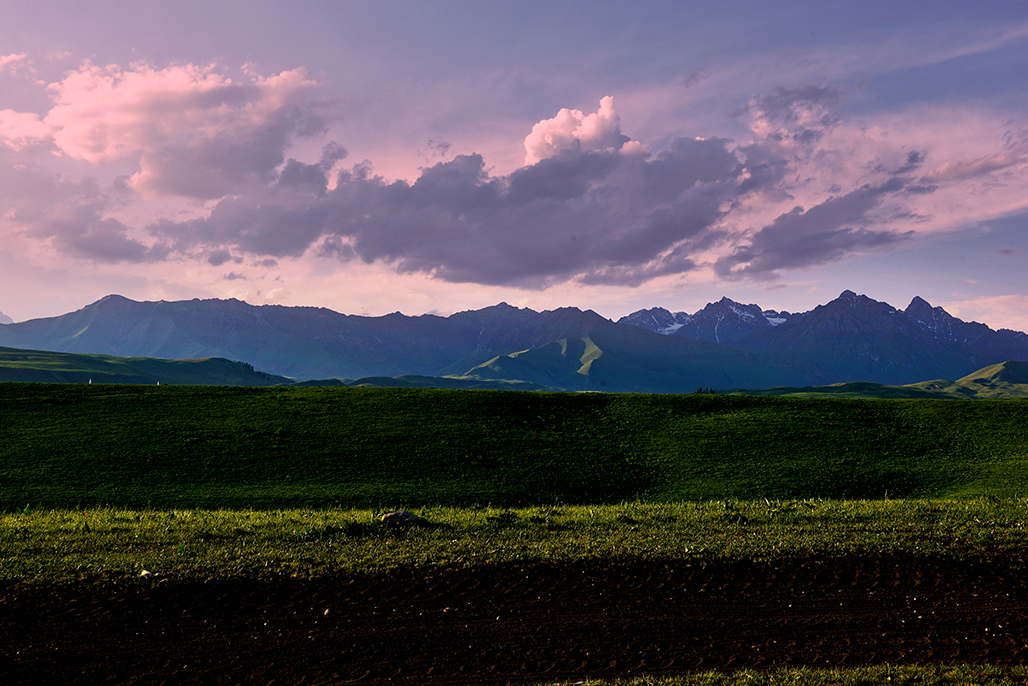 DSC_3067-1.jpg