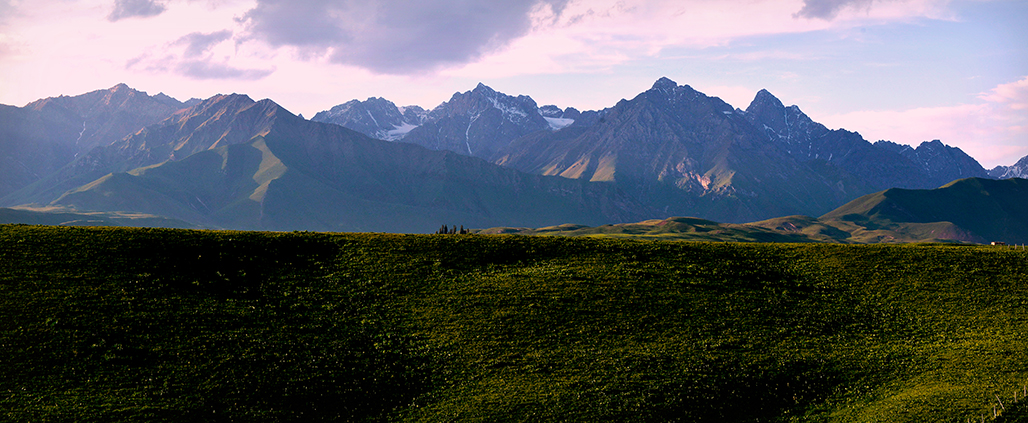 DSC_3075-1.jpg