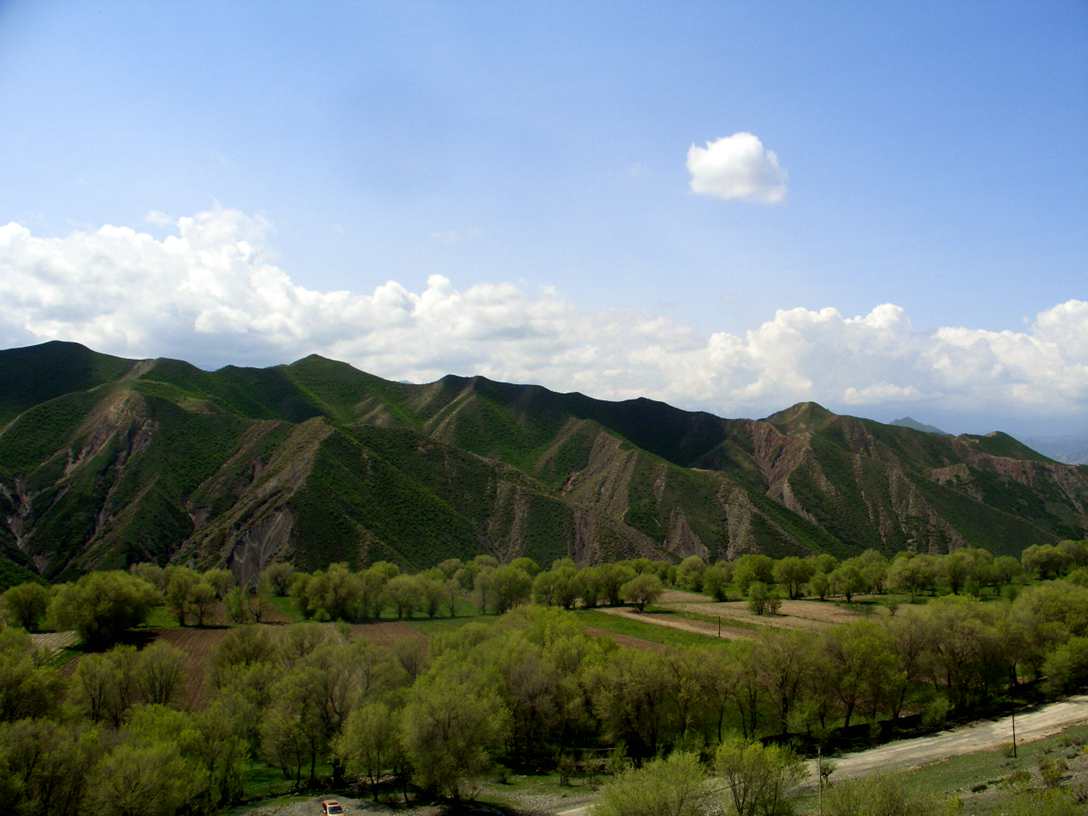 CIMG2570_.jpg