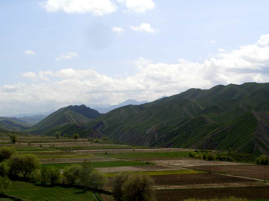 CIMG2575_.jpg