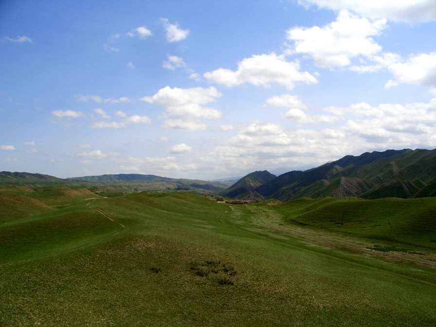 CIMG2579_1.jpg