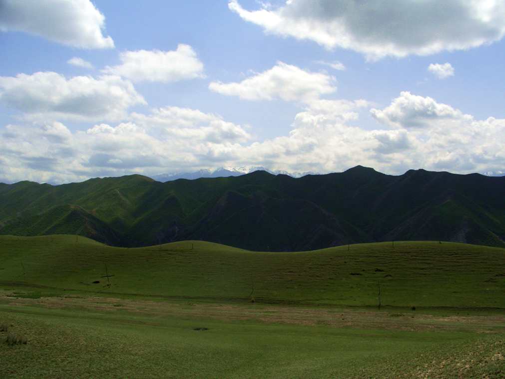 CIMG2582_.jpg
