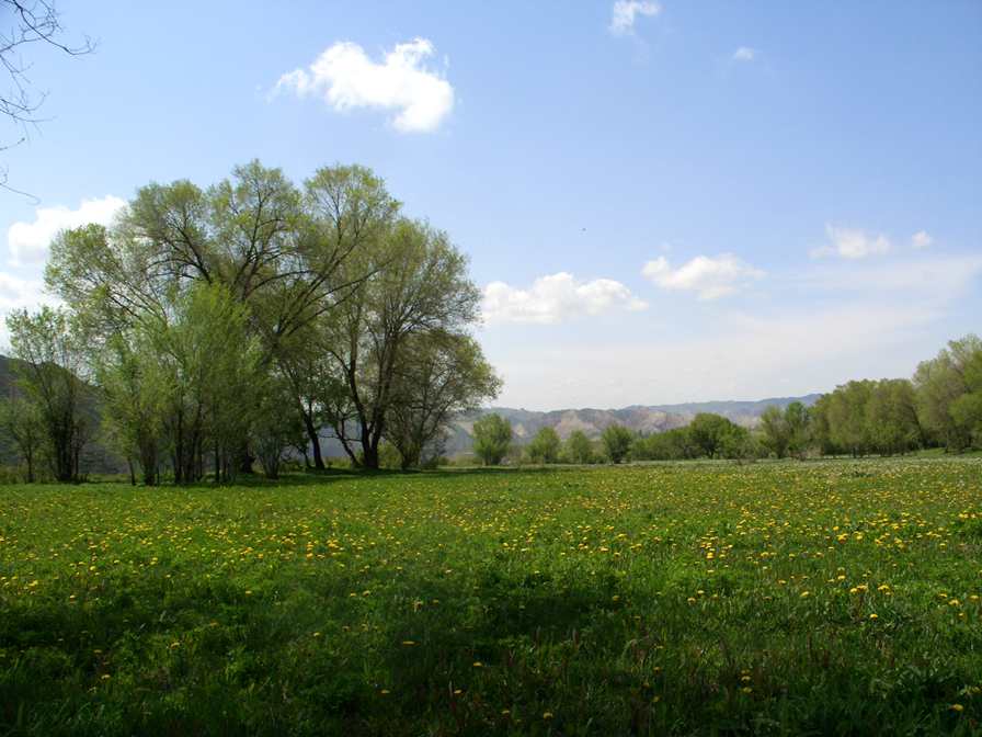 CIMG2610_1.jpg