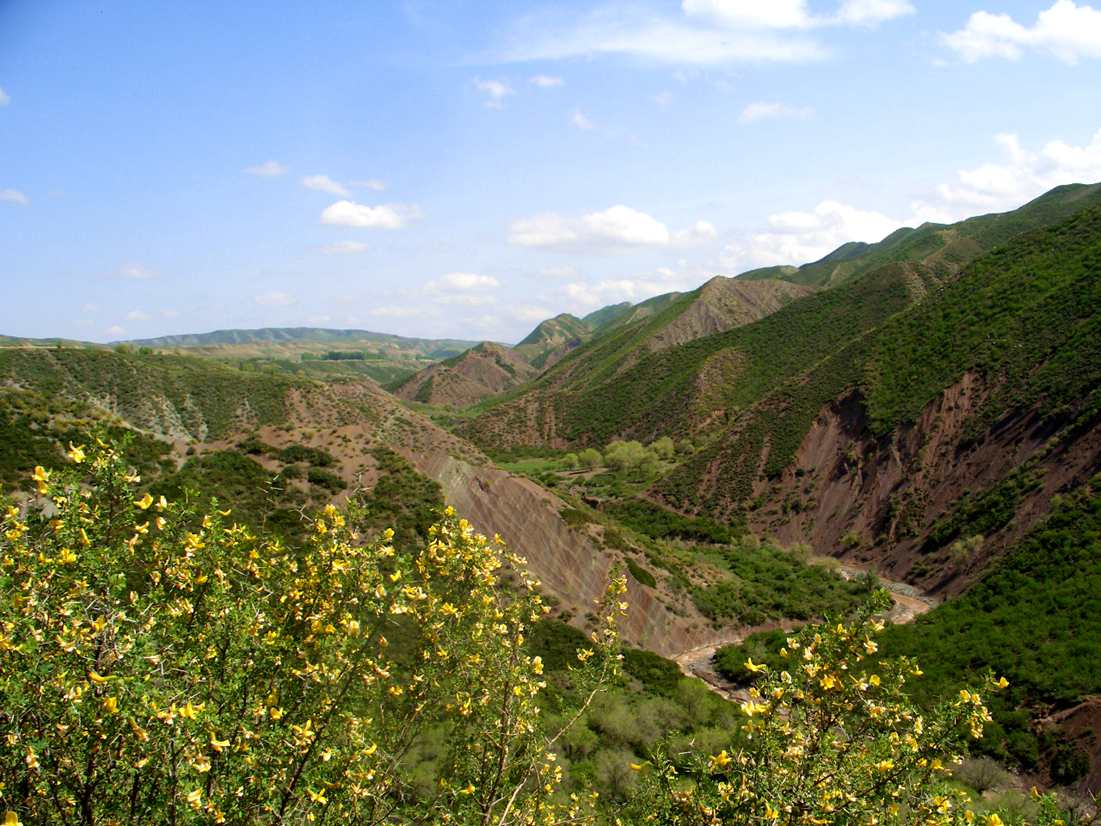 CIMG2621_.jpg