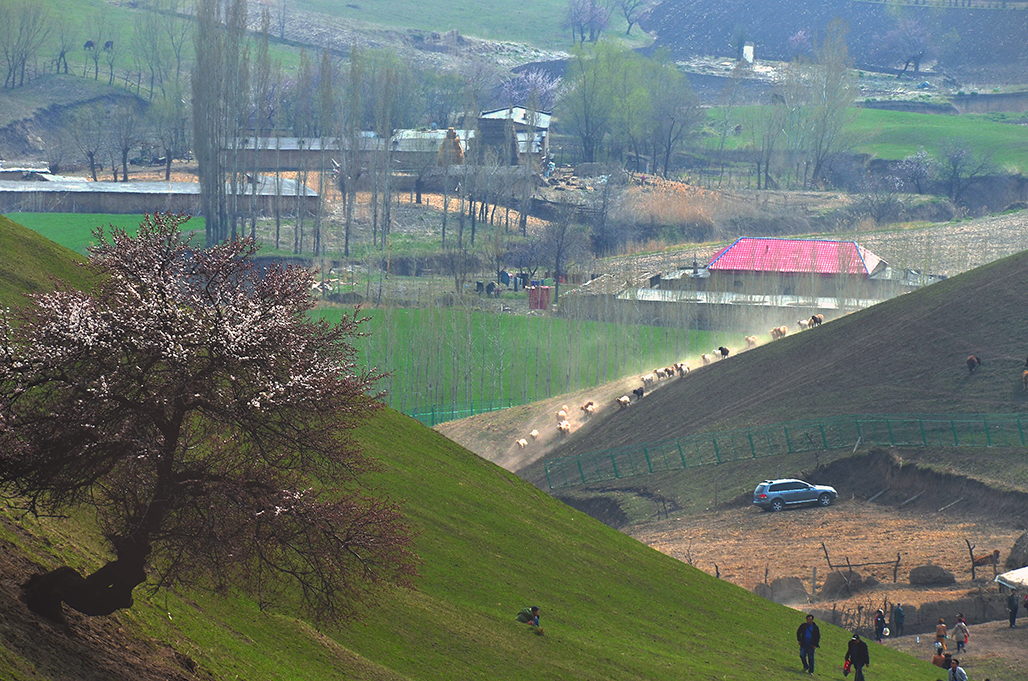 DSC_5920-1.jpg