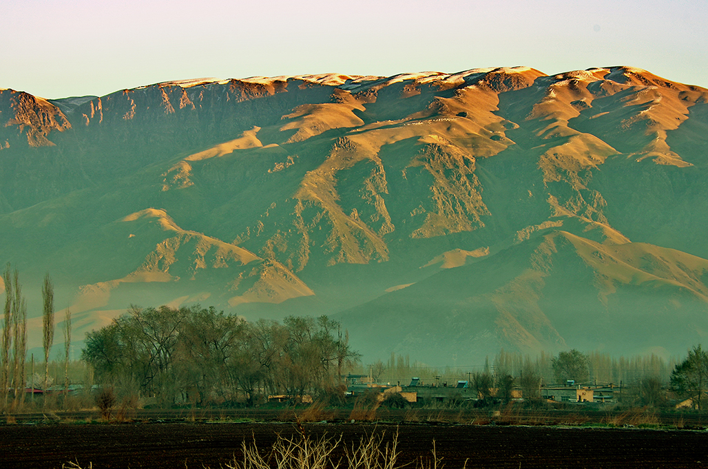 DSC_6113-1.jpg