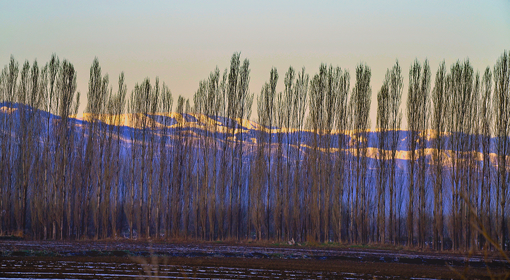 DSC_6109-1.jpg