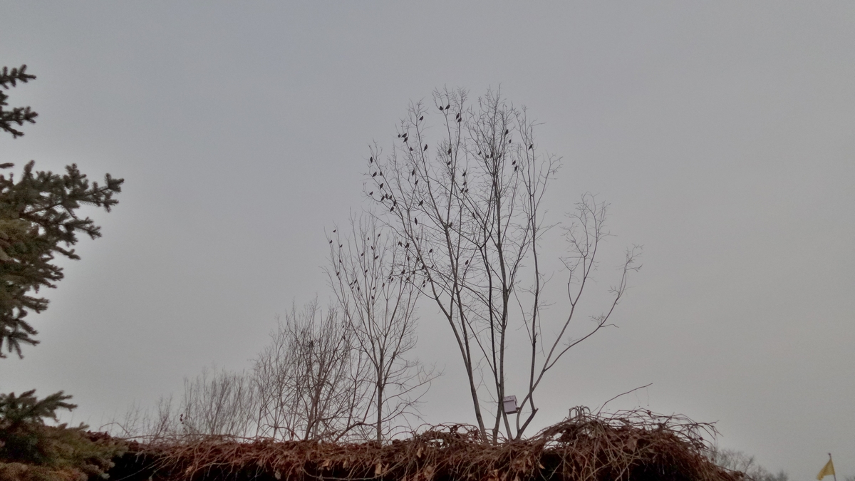 nEO_IMG_20150310_190624.jpg