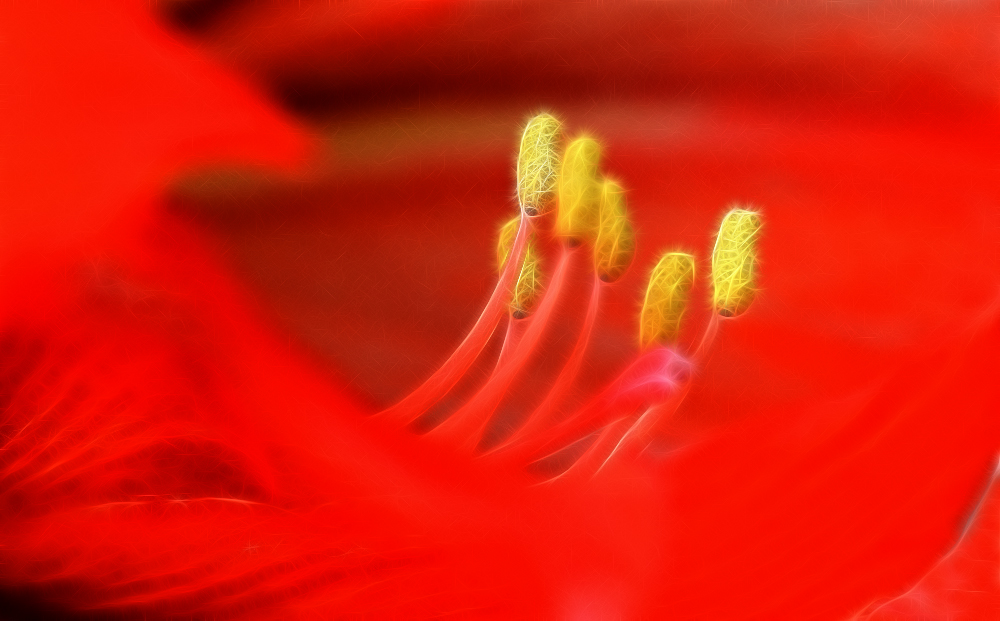DSC_0253.jpg