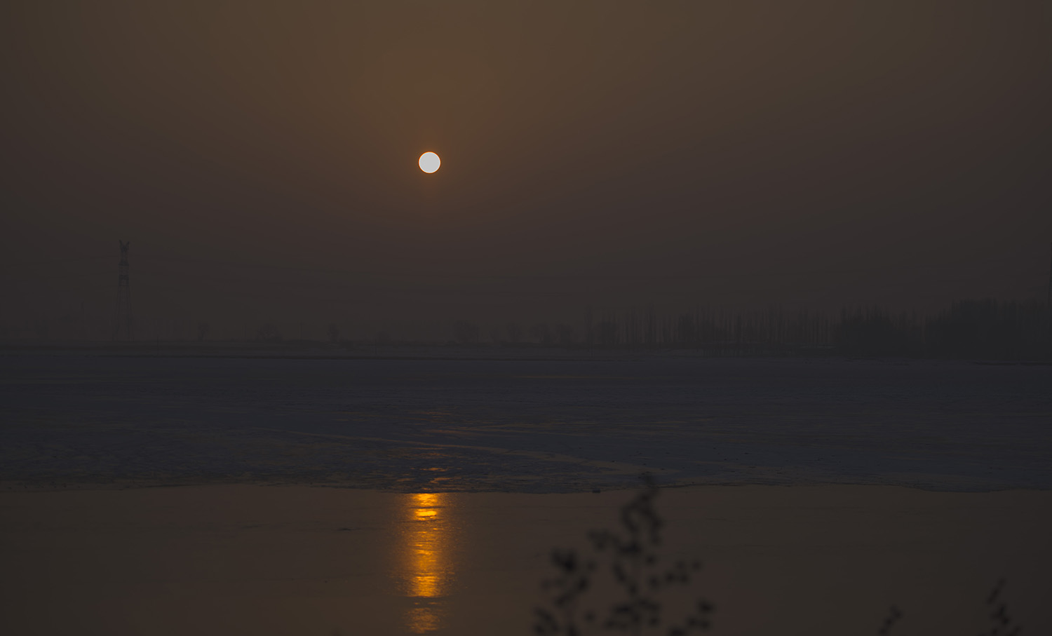 _DSC0955.JPG