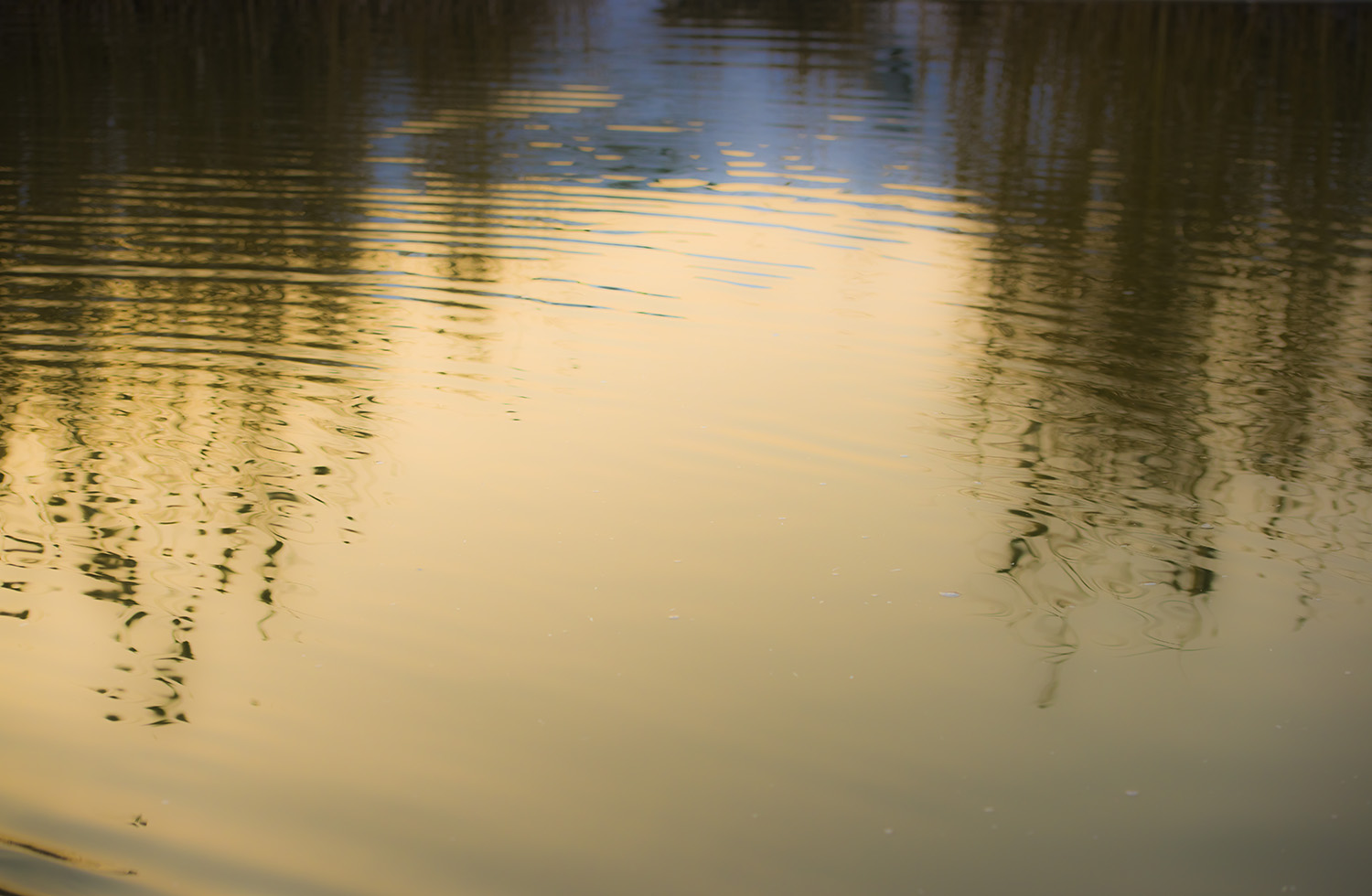 _DSC3970.JPG