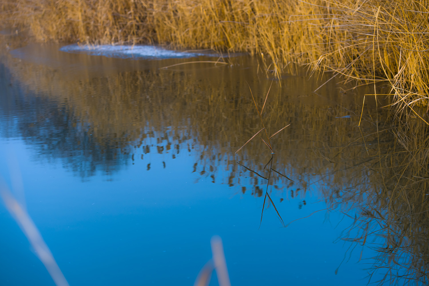 _DSC3982.JPG