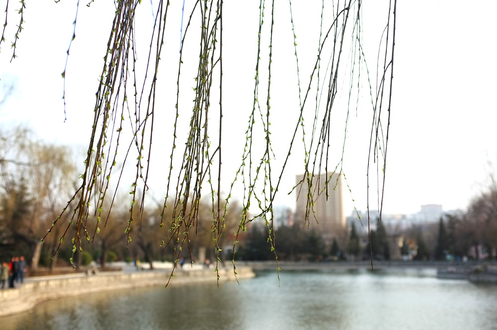 DSCF6278.JPG