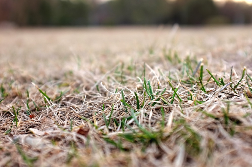 DSCF6318.JPG