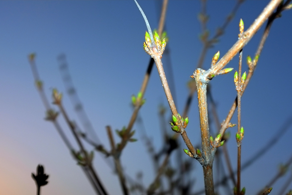 DSCF6339.JPG