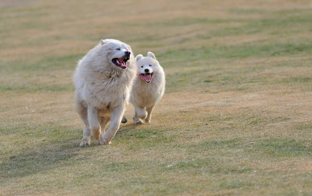 DSC_8338_.jpg