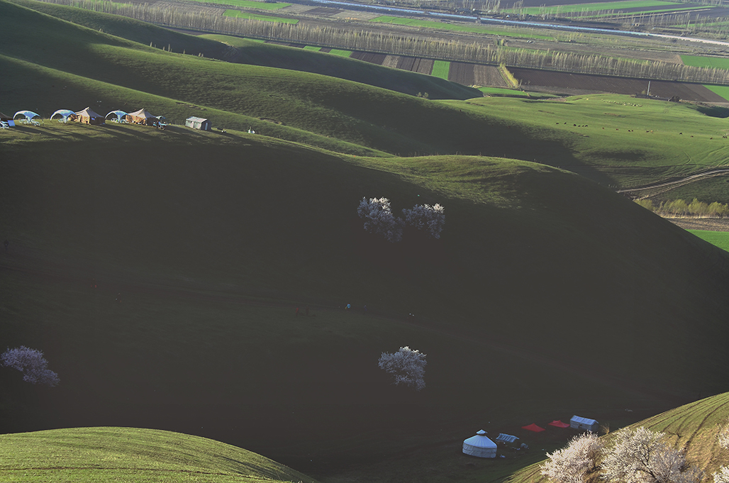DSC_6352-1.jpg