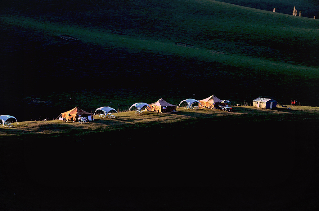DSC_6326-1.jpg