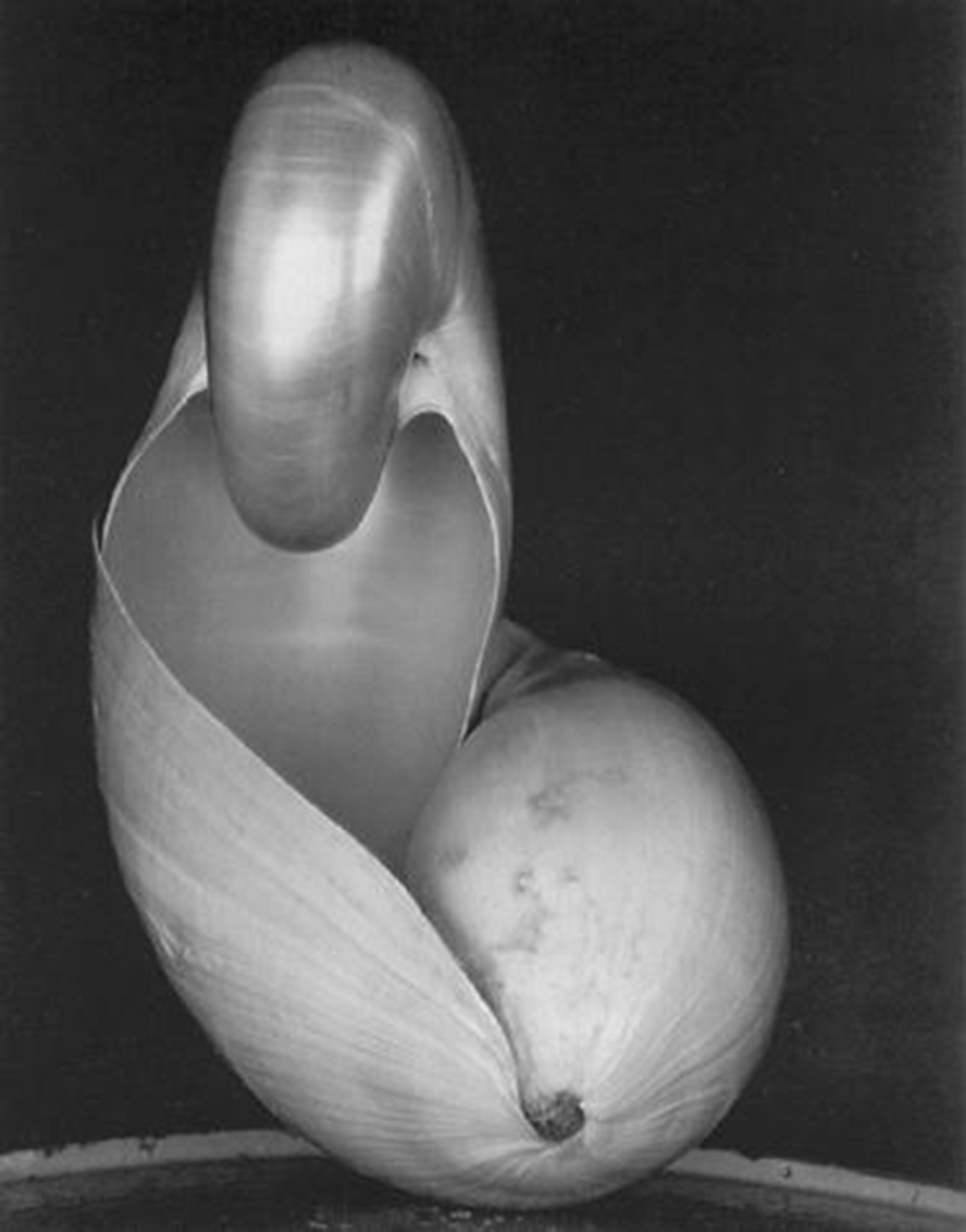ͤͤ1927꣬Τ˹ٵӰһµڷһʱ.jpg