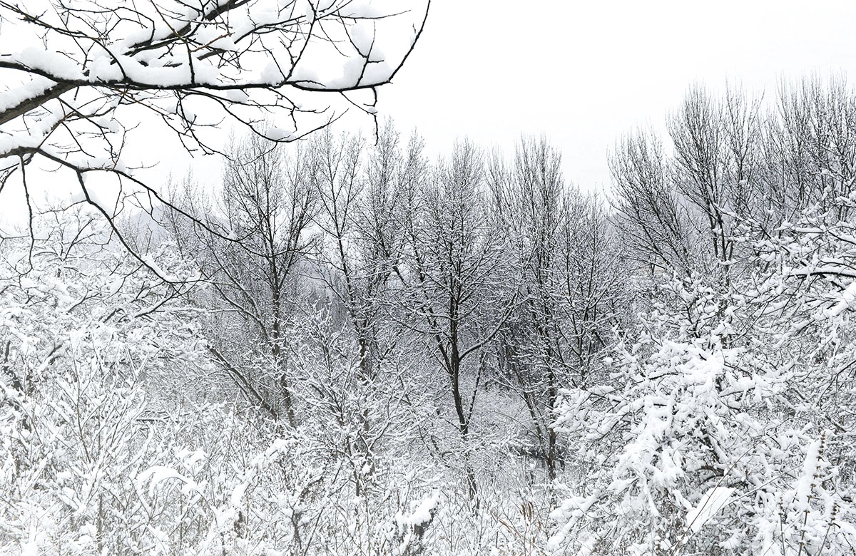 _DSC60563.jpg