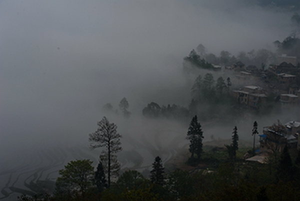 DSC_4899a.jpg