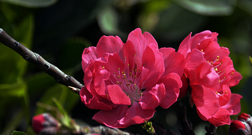 _DSC7670_1.JPG