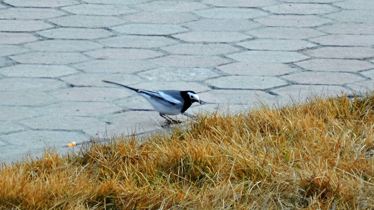 n20150321_192448_Richtone(HDR).jpg