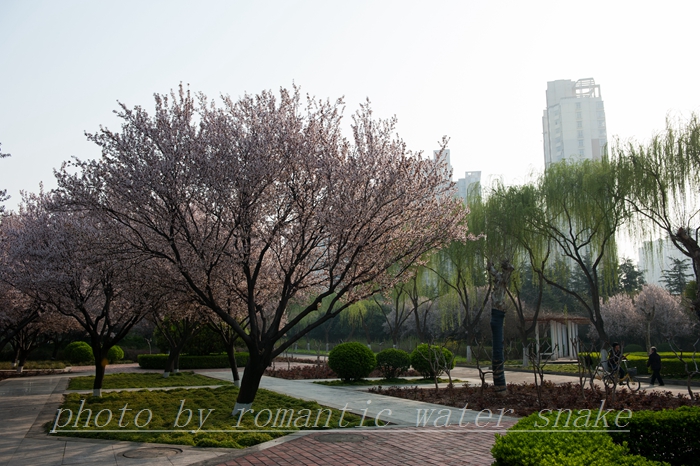 DSC_8252.jpg