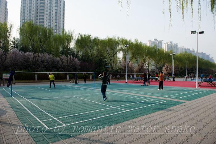 DSC_8265.jpg
