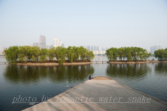 DSC_8266.jpg