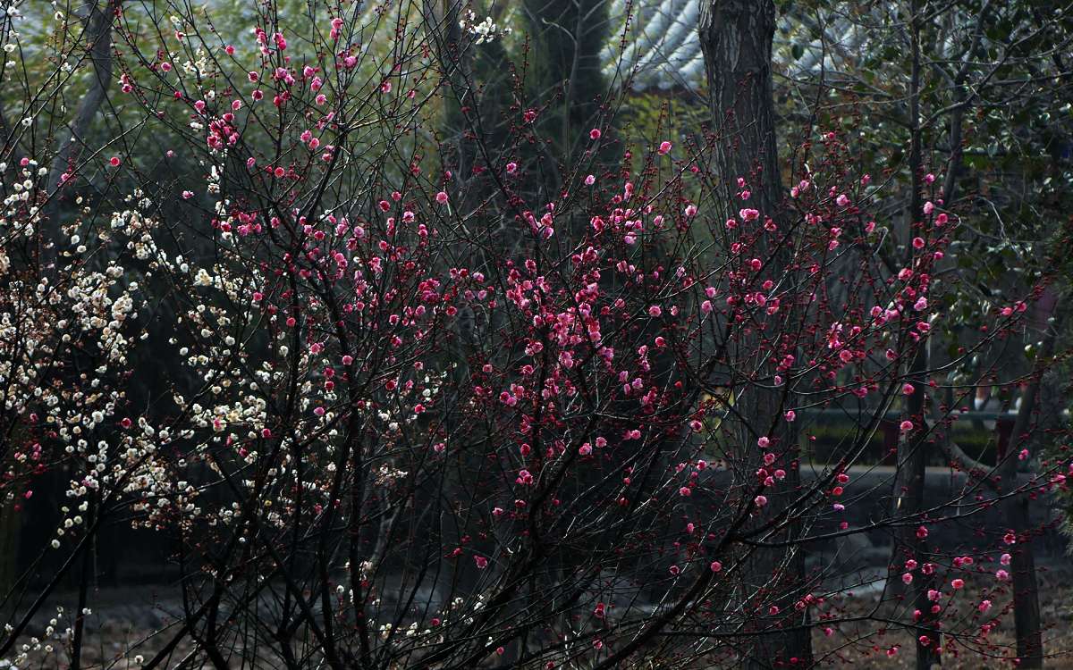 P1010737.jpg