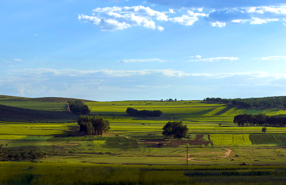 DSC_0053.JPG