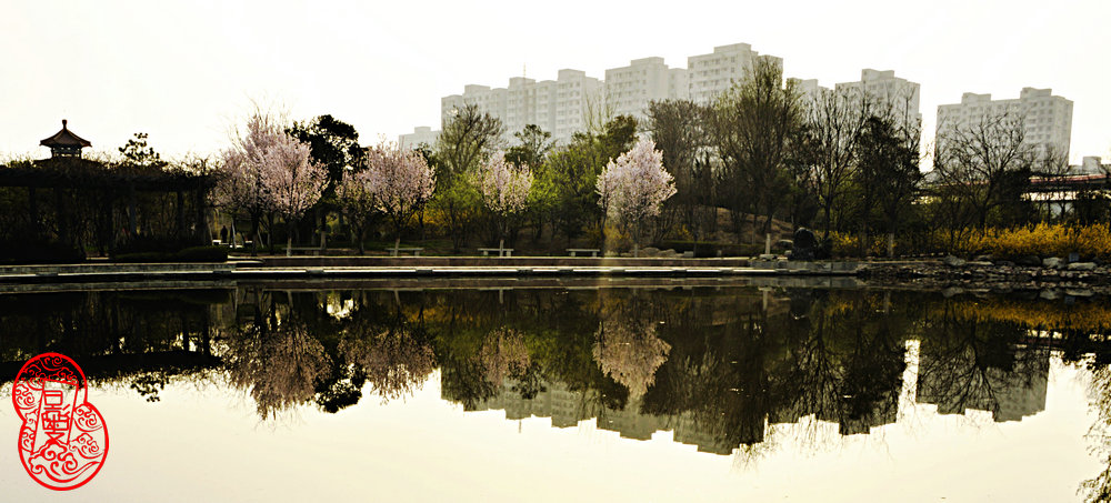 _DSC7734_.JPG