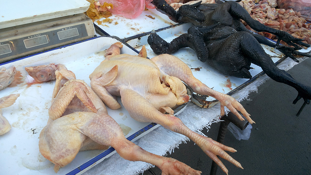 20141217_113934.jpg
