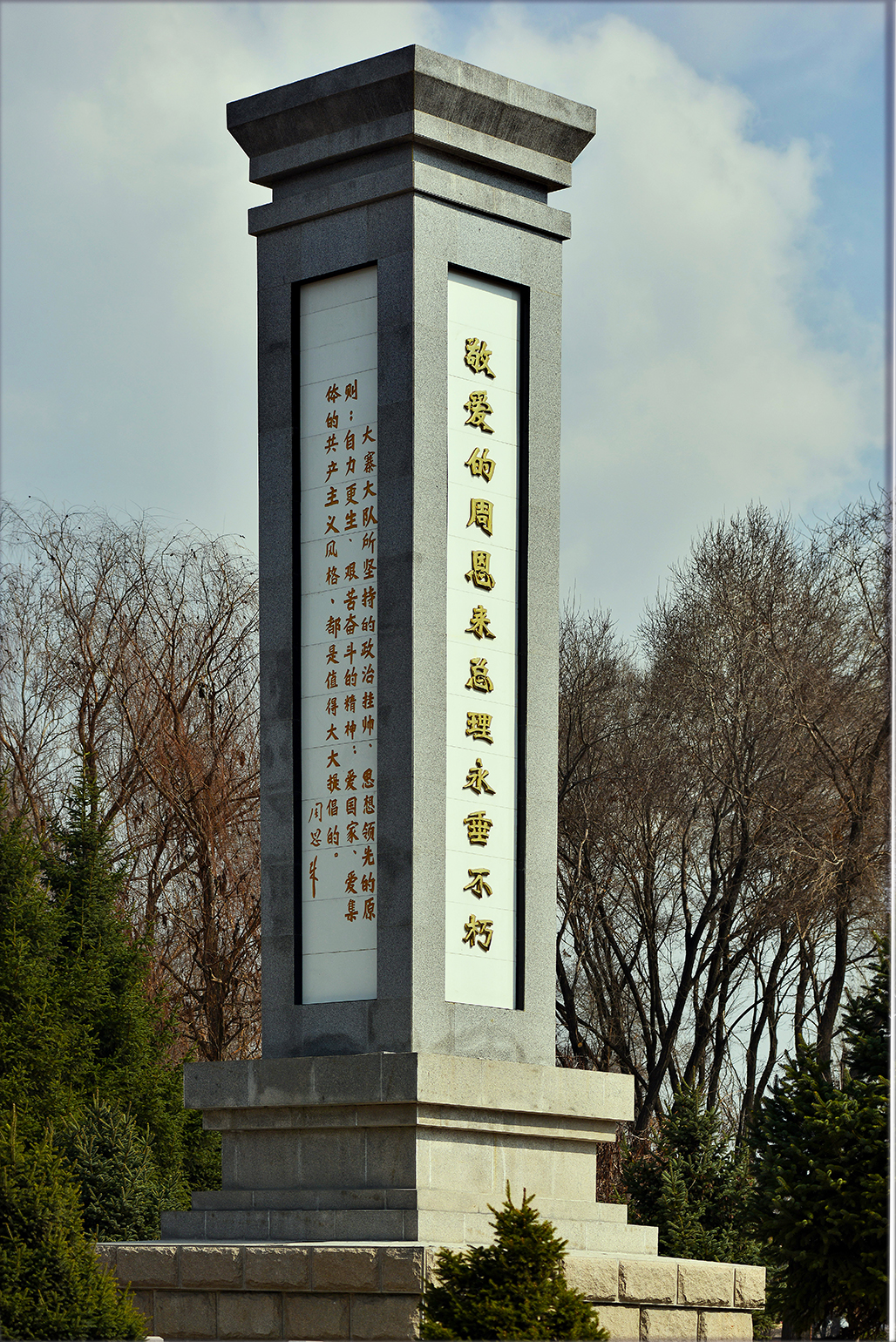 DSC_4342-1.jpg