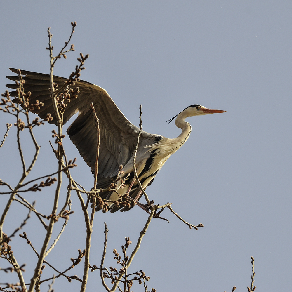 2015316ˮĥͷ a7331.jpg