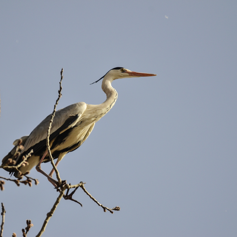 2015316ˮĥͷ a7401.jpg