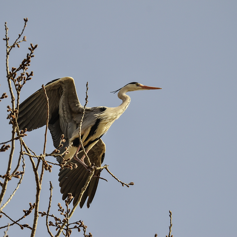 2015316ˮĥͷ a7371.jpg