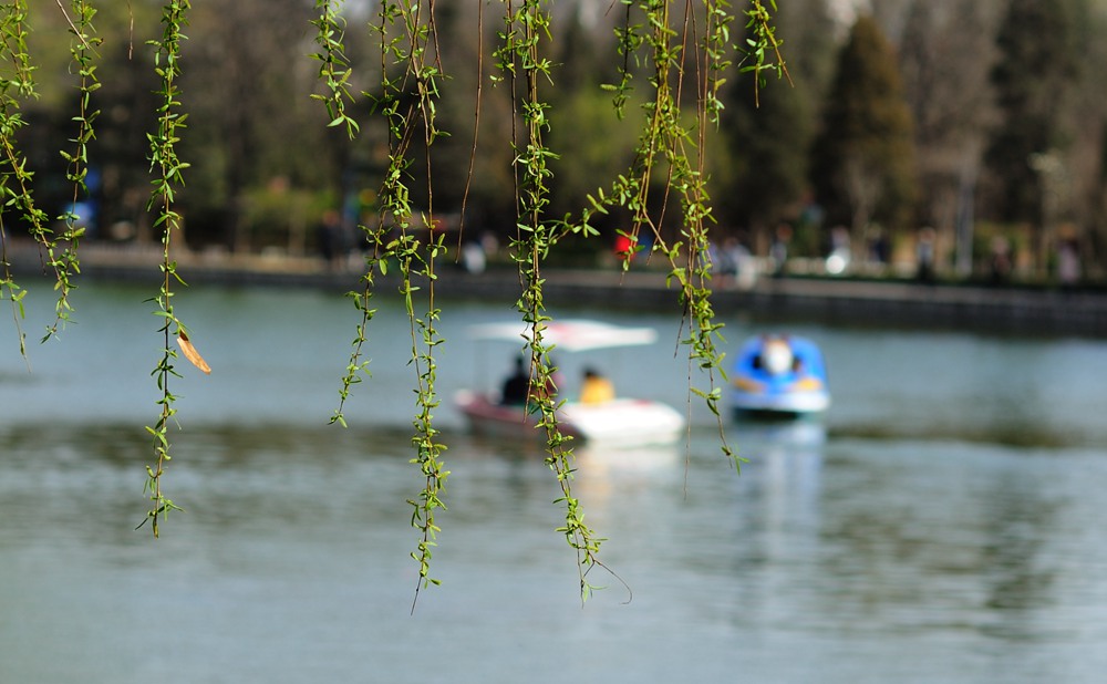 DSC_9731_.jpg