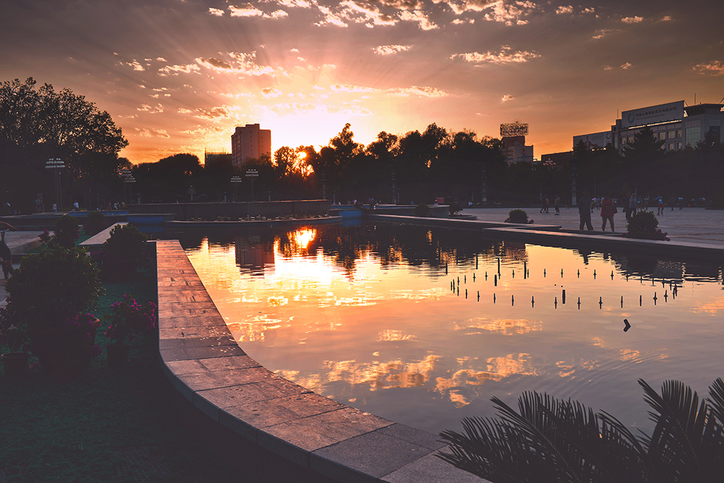 DSC_8162-1.jpg