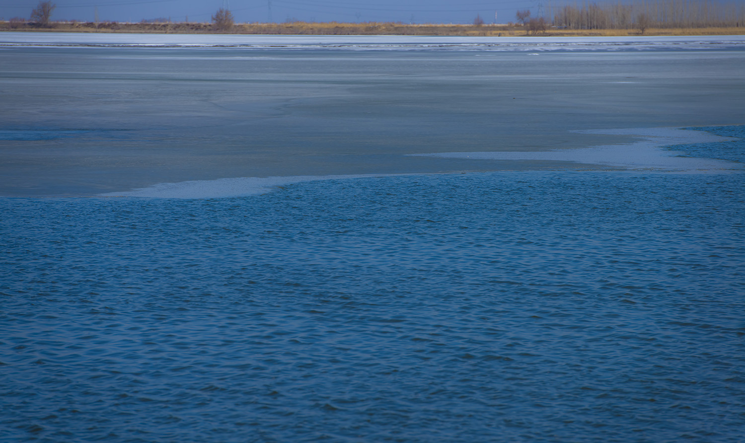 _DSC5611.JPG