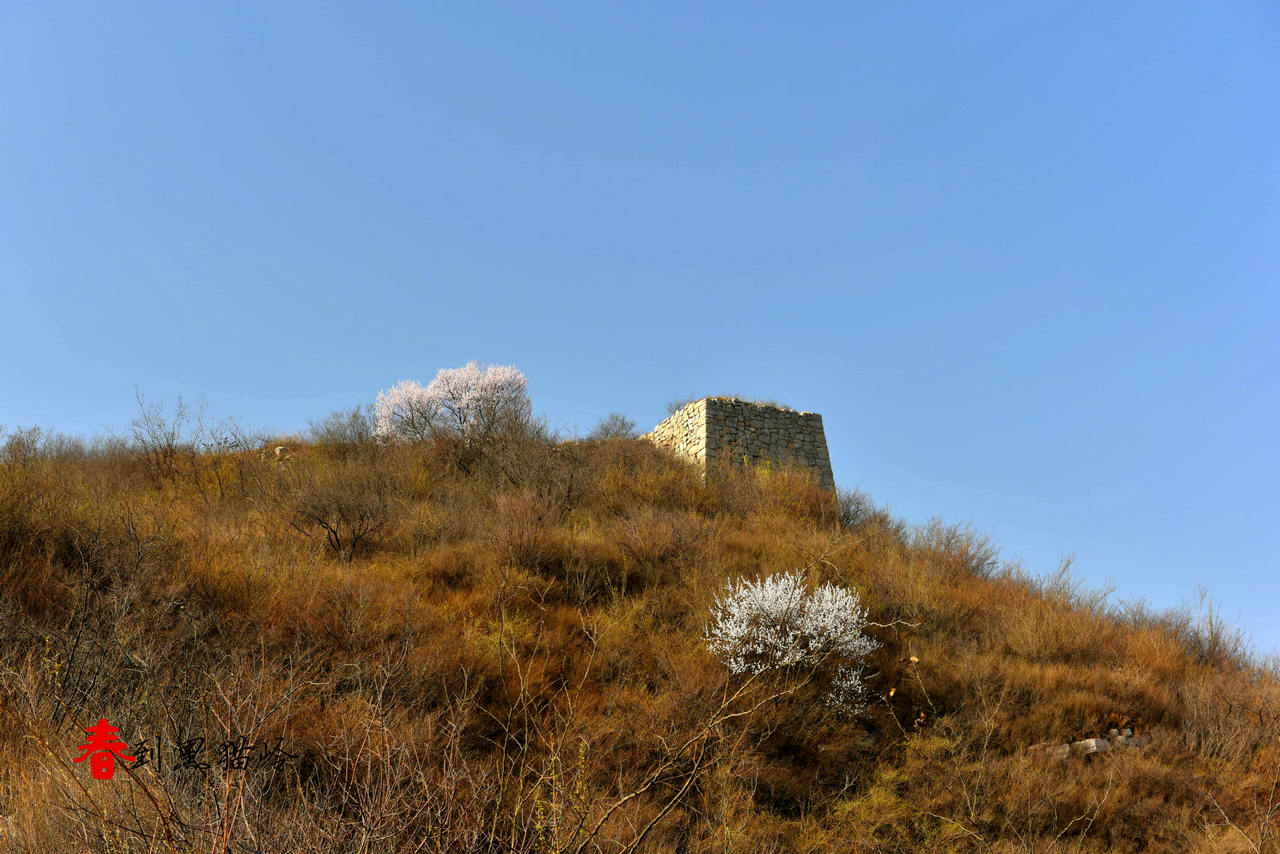 DSC_2413_.JPG