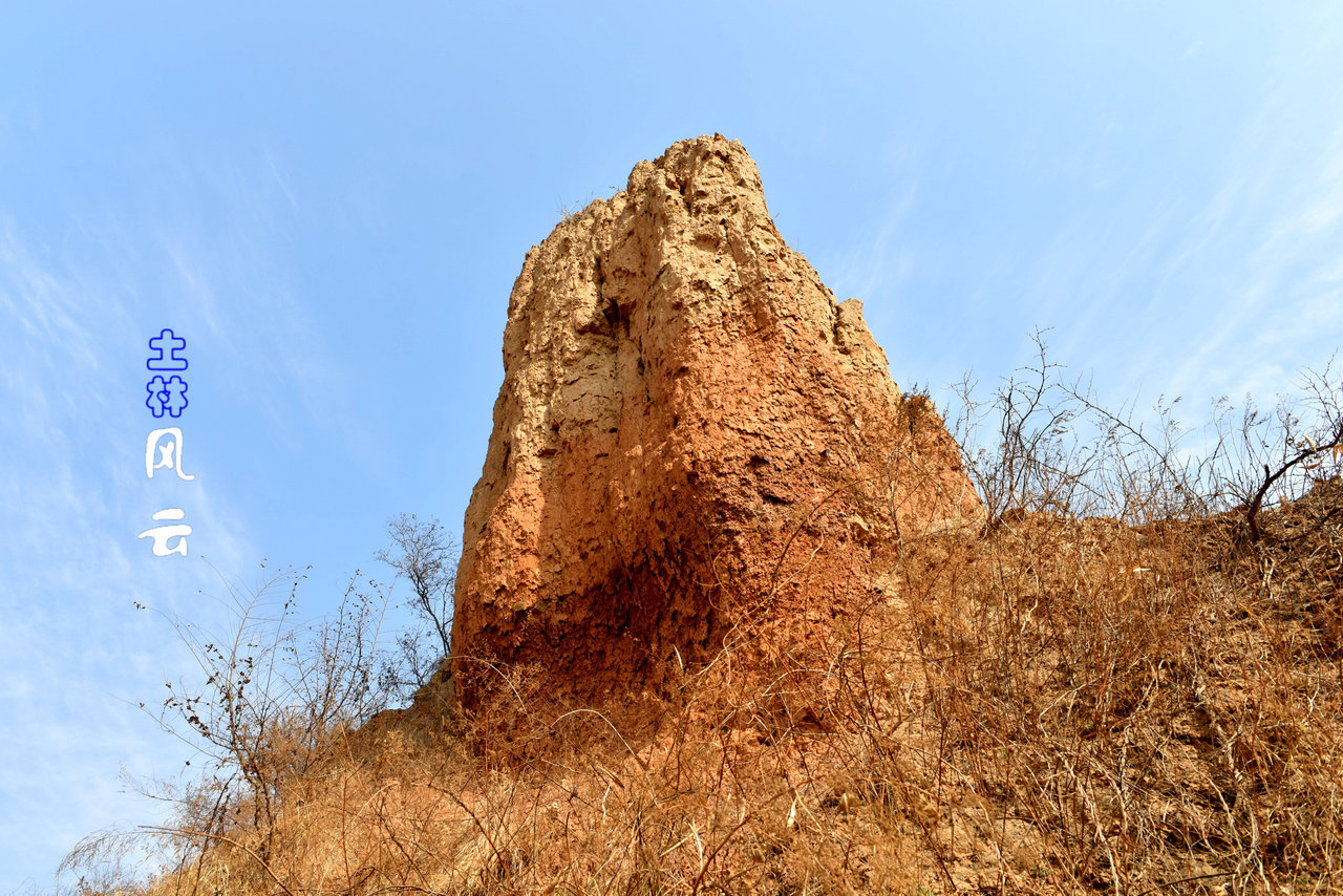 DSC_2231_.jpg