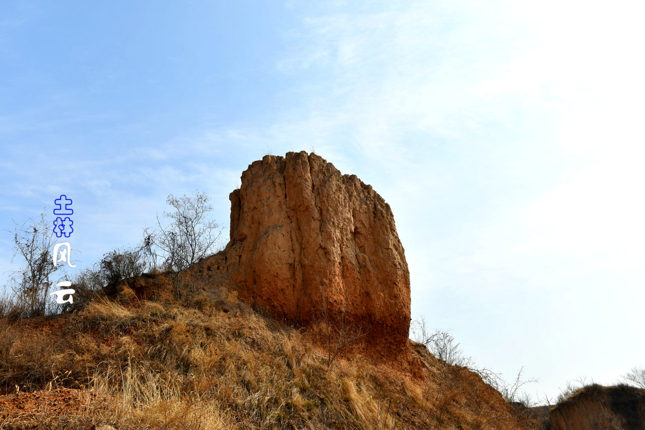 DSC_2235_.jpg