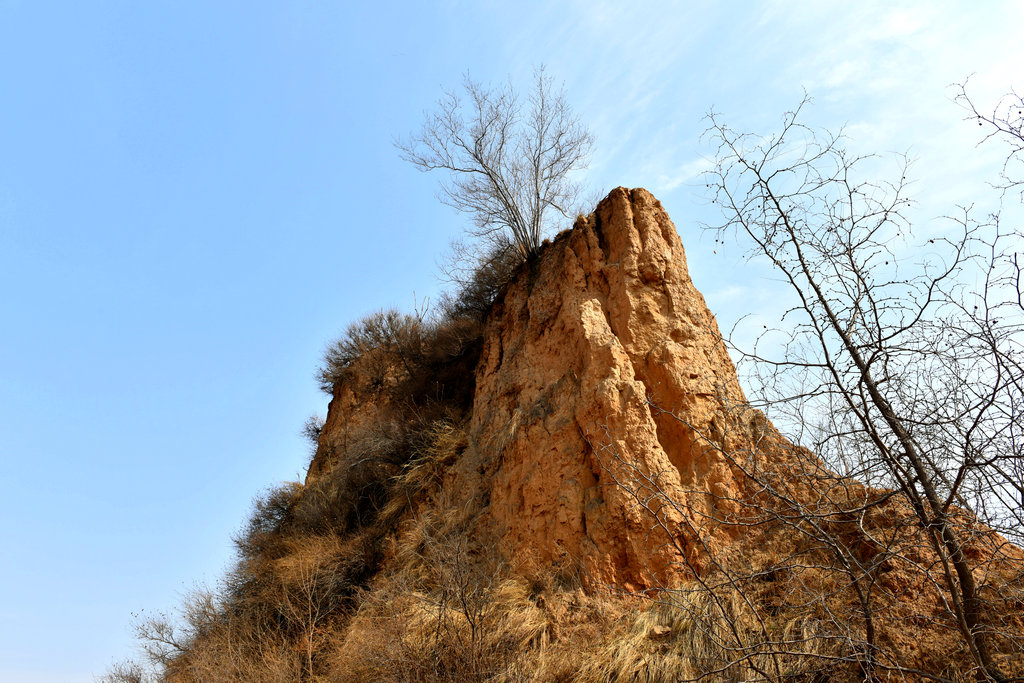DSC_2223_.jpg