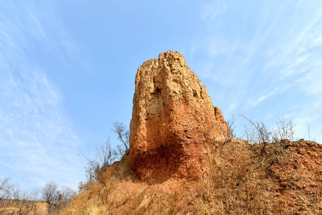DSC_2229_.jpg