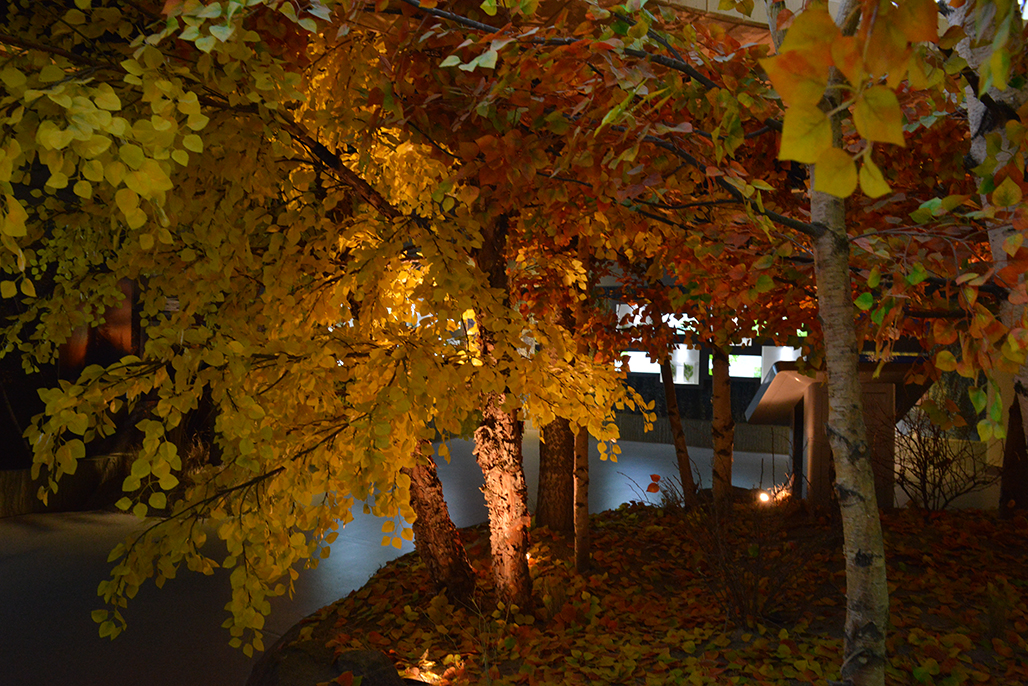 DSC_3259.JPG