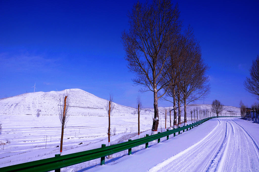 DSC_6220С.jpg
